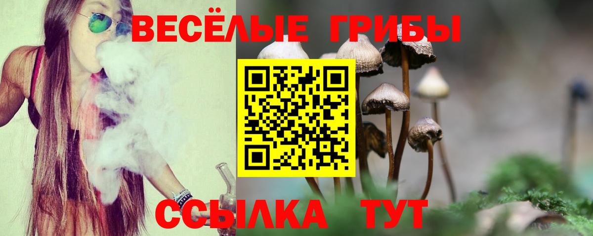Псилоцибиновые грибы GOLDEN TEACHER  Вход с VPN  закладка  Бахчисарай 