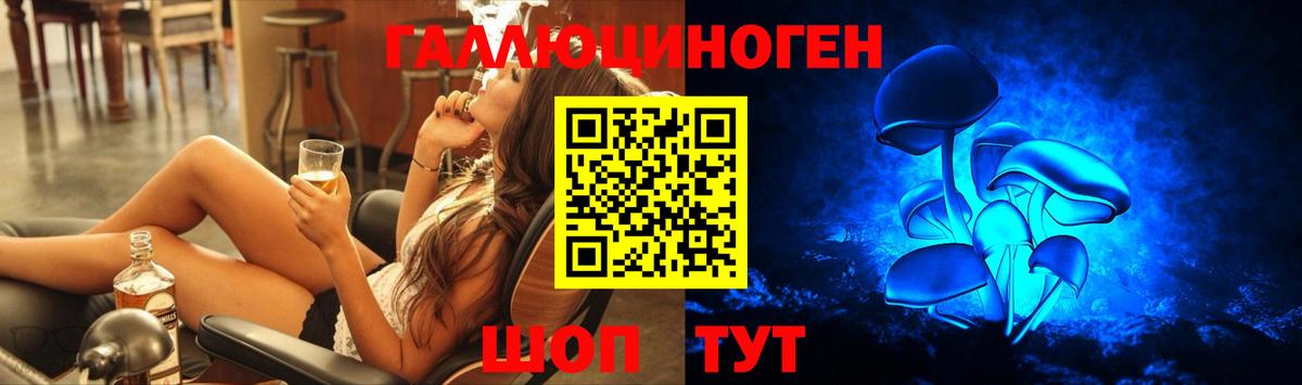 где купить наркотик  Бахчисарай  Псилоцибиновые грибы мицелий 